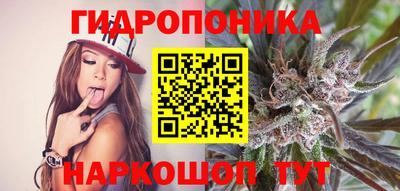 гидра Конаково