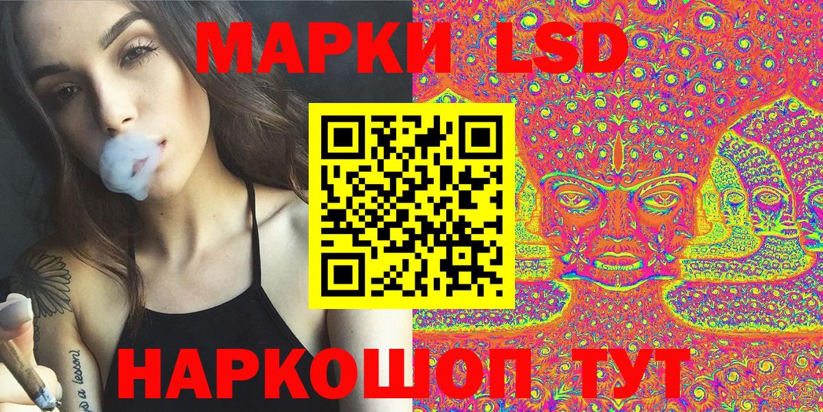 где купить наркотик  Вход с VPN  Наркотические марки 1,8мг  Камышин  Наркотические марки 1,8мг 